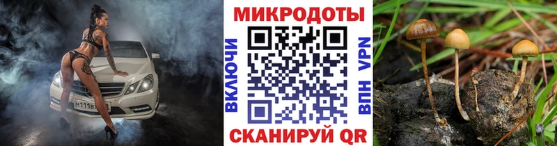 Псилоцибиновые грибы Magic Shrooms  Купить закладки  Байкальск 